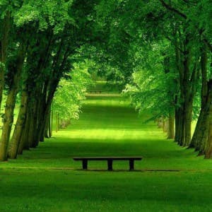 Mindfulness meditation