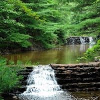 mindfulness exercises, babbling brook