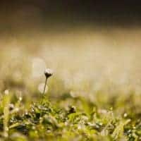 headache relief binaural beats