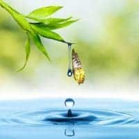 Mental Clarity