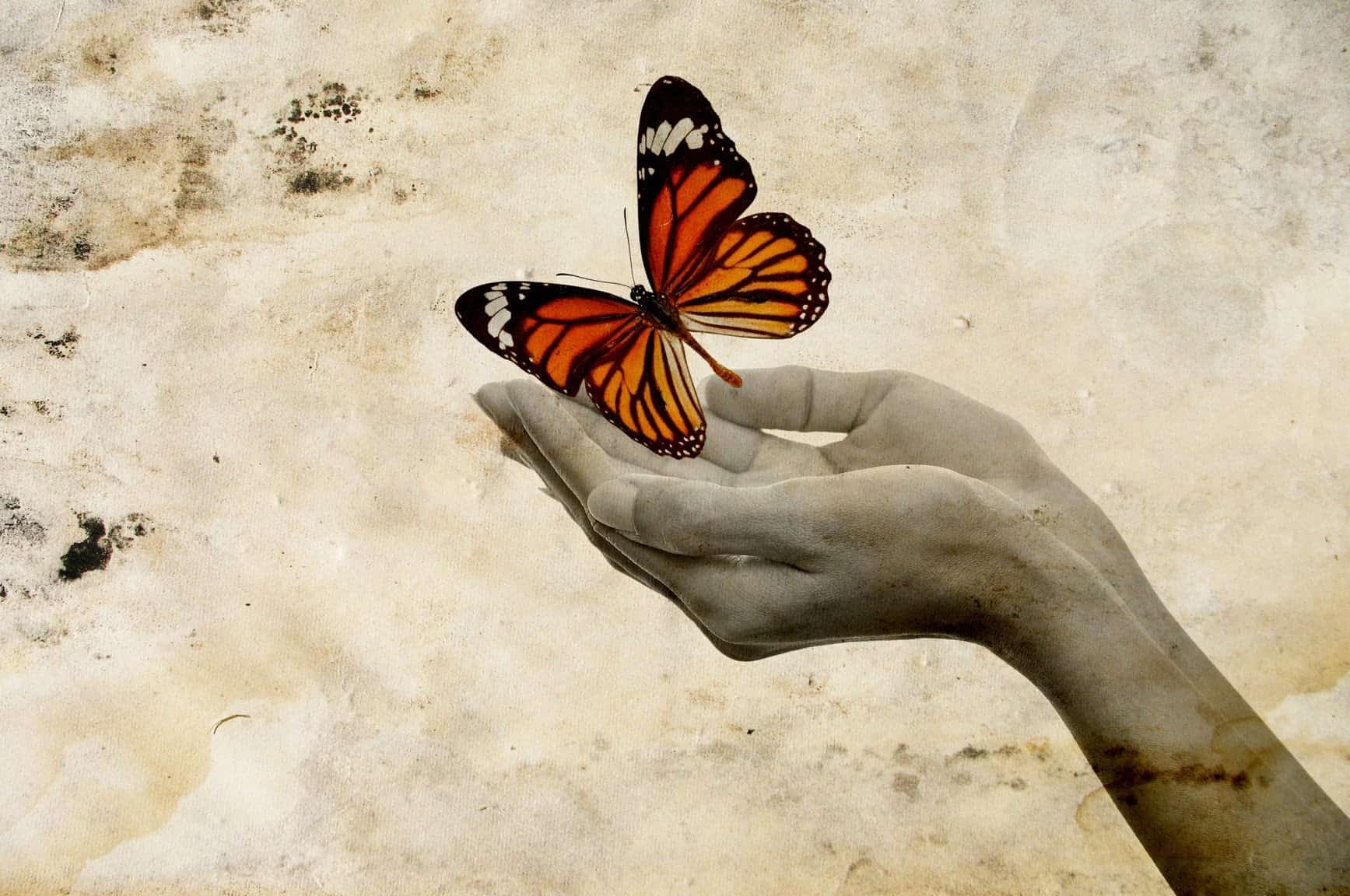 Letting Go A Guided Meditation, The Magic Book, Spoken Word Guided Visualization, Waterfall Relax