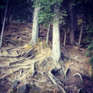 Getting Lost & Coming Back