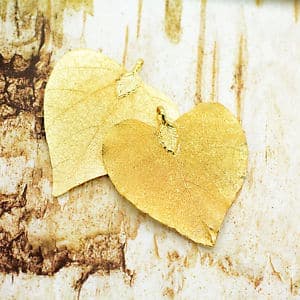 Guided Loving Kindness Meditation