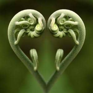 Heartfelt Meditation
