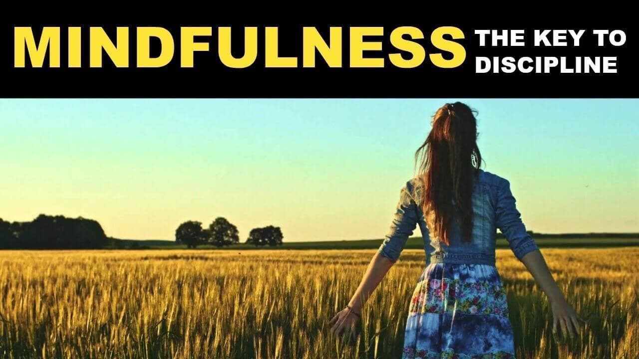 Self-Discipline Through Mindfulness β How To Become More Disciplined