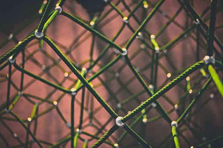 Reflecting on What Connected You