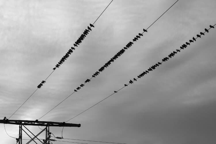 Mindfulness While Waiting in Line