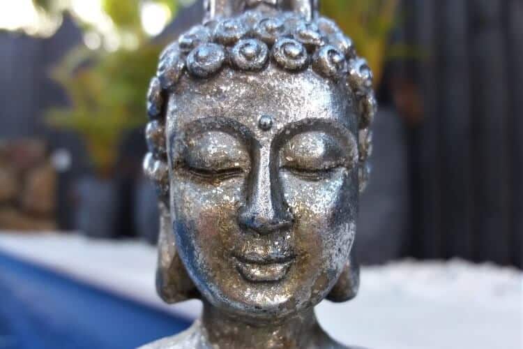 Mindfulness Body Scan for Wisdom