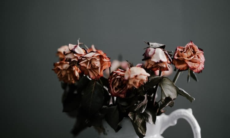 How to Practice Mindfulness of Death and Why It’s Important