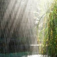 Lessons from Nature