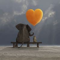 Increasing Loving Kindness