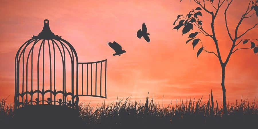 Stress, Relaxation & Freedom