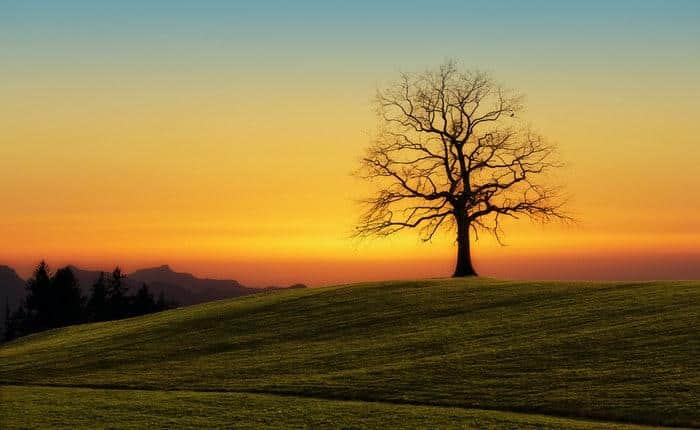 Guided Anapanasati: Impermanence Fading Away and Letting Go