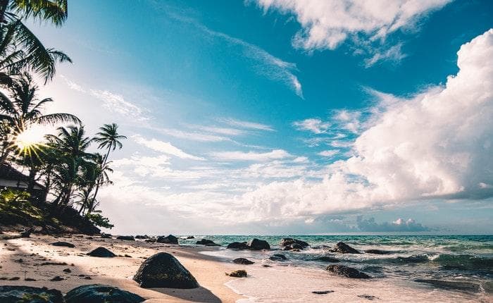 Tropical Waves