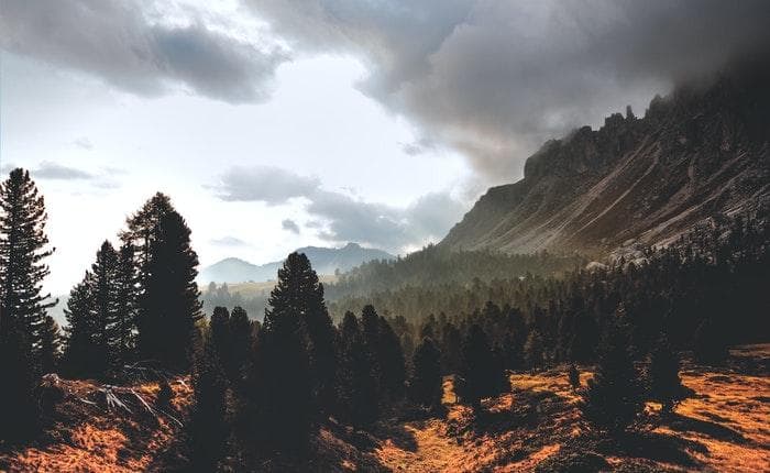 Empathy: Its Nature, What Makes It Hard, and How to Develop It