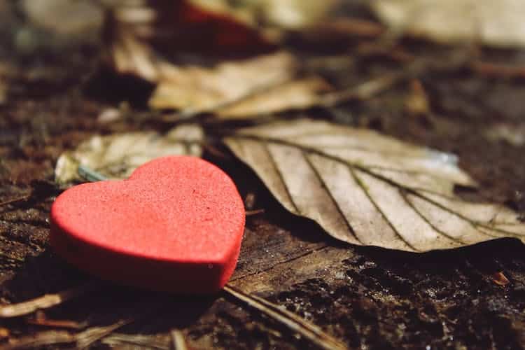 Sensing Into the Heart