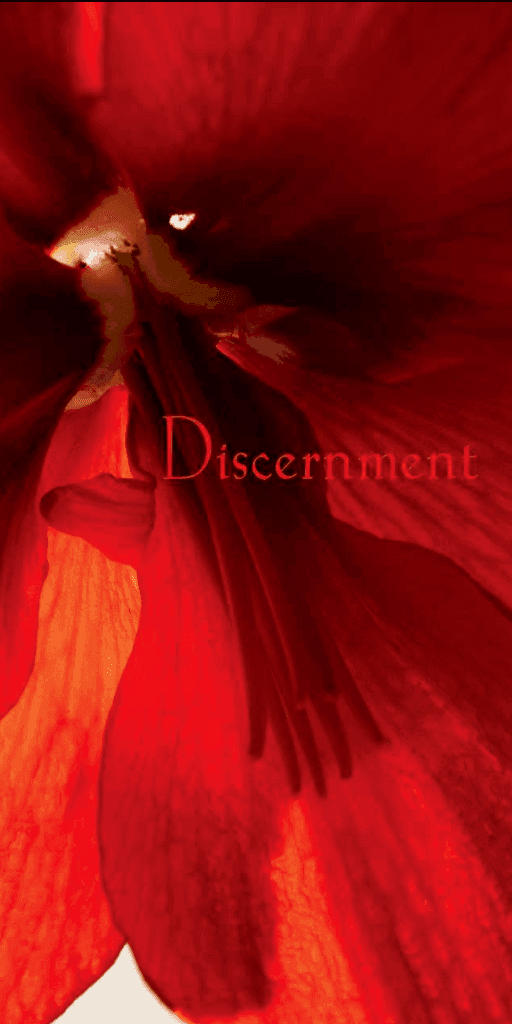 Discernment The Buddhas Strategies for Happiness