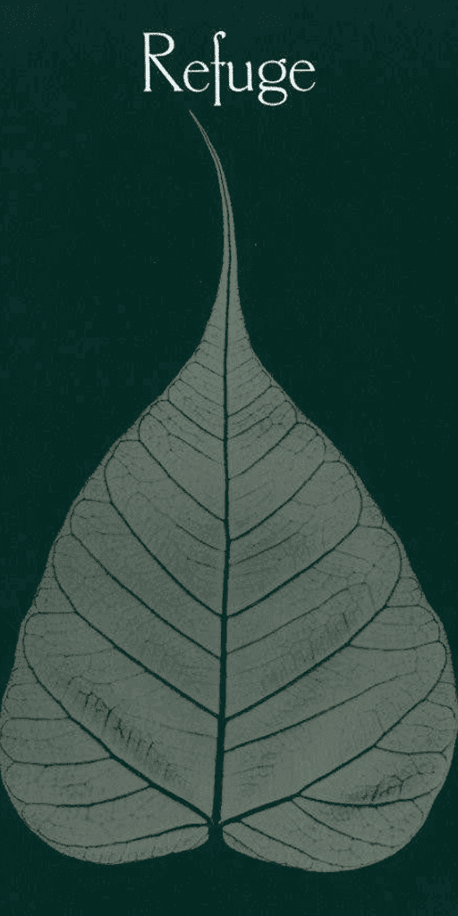 Refuge An Introduction to the Buddha, Dhamma, and Sangha