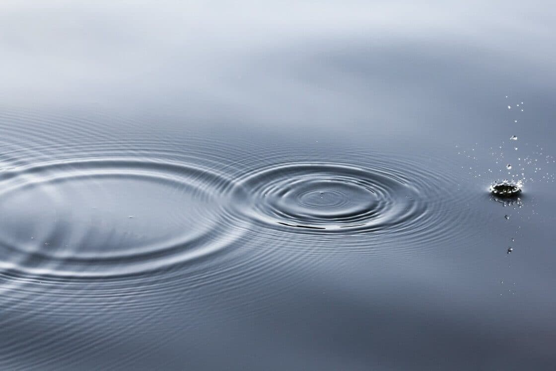 Awareness of each of the 5 Senses