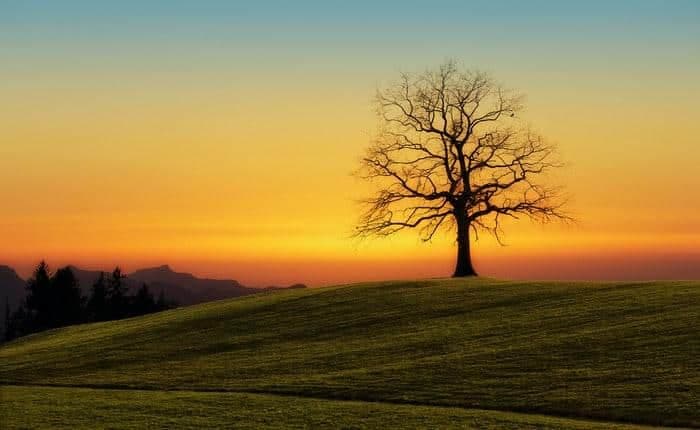 Guided Anapanasati: Impermanence Fading Away and Letting Go
