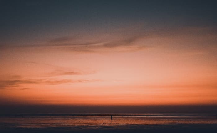 Relaxing Mental Formations by Being Present and Letting Go