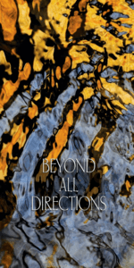 Beyond All Directions