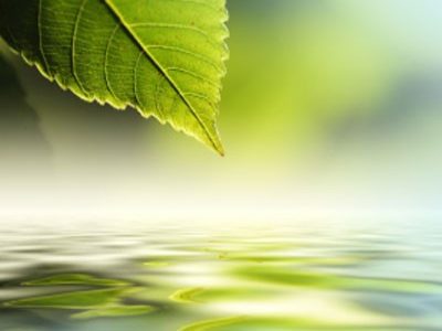 How to Alleviate Overwhelm with Mindfulness