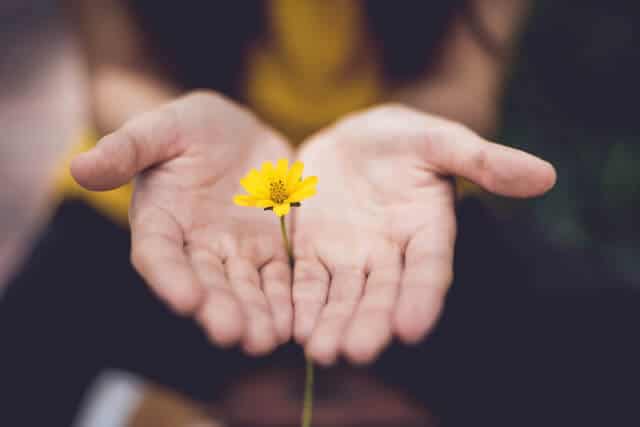 Guided Meditation On Forgiveness