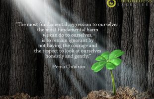 Mindfulness Quote and Image 109
