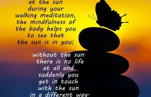 Mindfulness Quote and Image 12