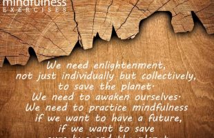 Mindfulness Quote and Image 15