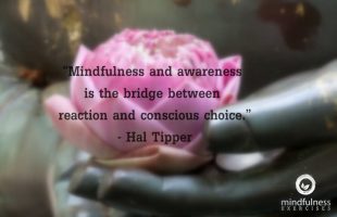 Mindfulness Quote and Image 167