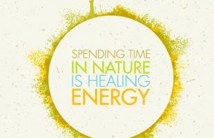 Mindfulness Quote and Image 195
