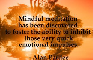 Mindfulness Quote and Image 3