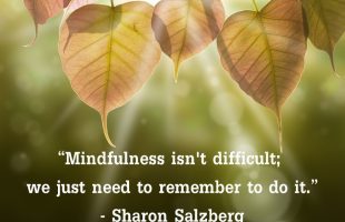 Mindfulness Quote and Image 66