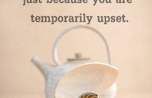 Mindfulness Quote and Image 70