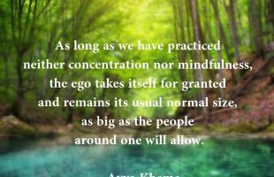 Mindfulness Quote and Image 85