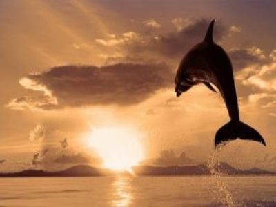 Guided Loving Kindness Meditation
