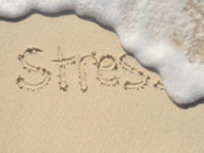 Mindfulness-based Stress Reduction