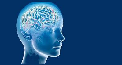 Your Brain on Mindfulness