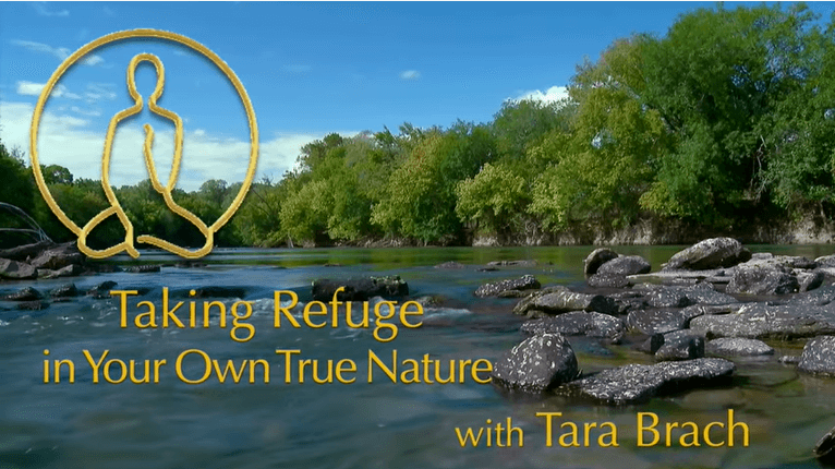 Taking Refuge in Your Own True Nature