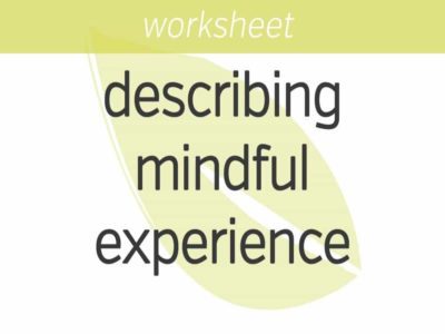 Describing Our Mindful Experience