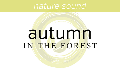 Nature Sounds: Autumn in the forest