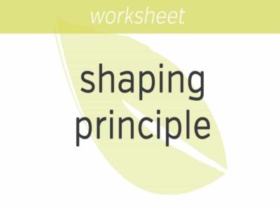 the shaping principle
