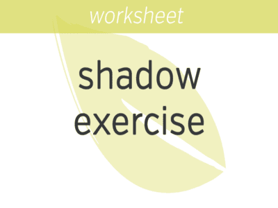 Shadow Exercise