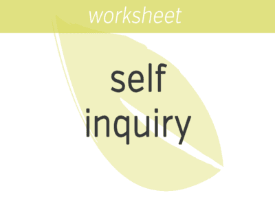 Self-Inquiry FI
