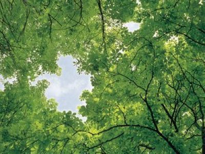 Taming Your Inner Critic by James Baraz