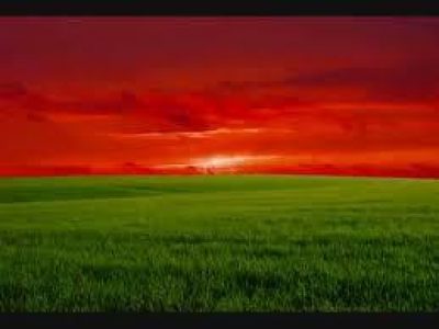 Recovery Meditation Spoken Word For Sickness Healing