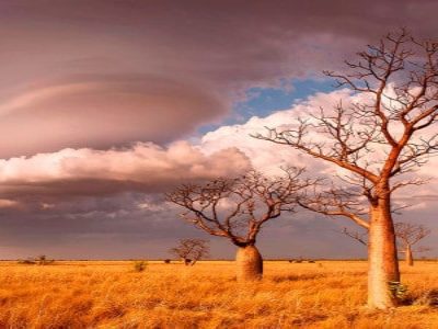 Mindfulness meditation