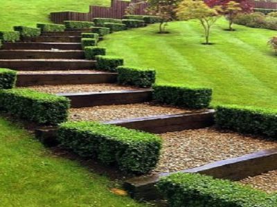 Mindfulness Exercise on Lessons From Nature